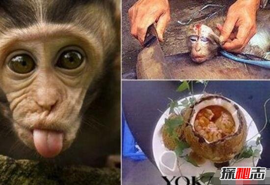中国十大禁菜，猴头(切猴头泼滚油/头脑生吃(残忍无比)