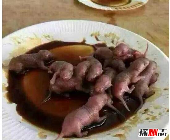 中国十大禁菜三吱儿老鼠，舌尖上的重口味(生吃老鼠/变态)