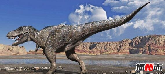 刚果开赛暴龙是真的吗，地球上最后的恐龙(疑是骗局)