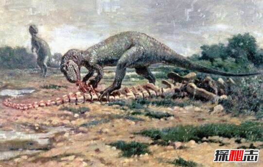 刚果开赛暴龙是真的吗，地球上最后的恐龙(疑是骗局)