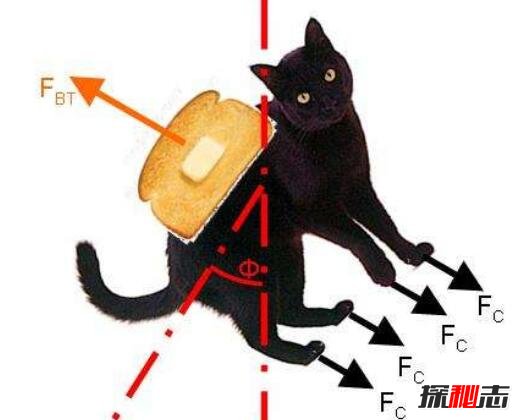 黄油猫悖论是什么意思，黄油+猫=永动机(不成立)