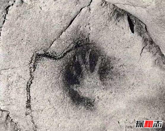 一亿年后的人类图片，秃毛大眼小脑瓜(丑爆了)