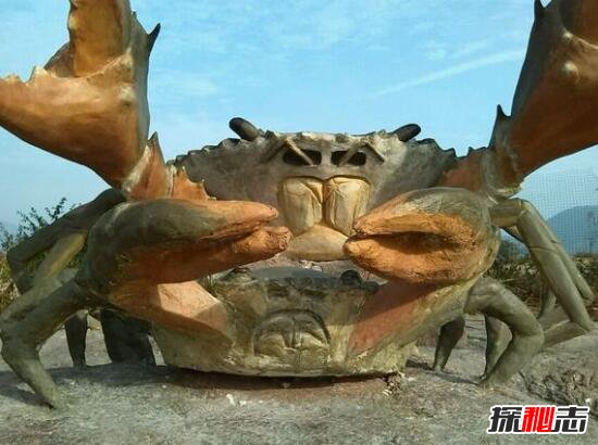 揭秘英国岸边神秘的巨型螃蟹，照片为PS(网友恶搞)