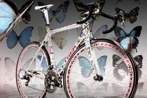 全球最贵自行车排行榜，蝴蝶Trek Madone价值330万