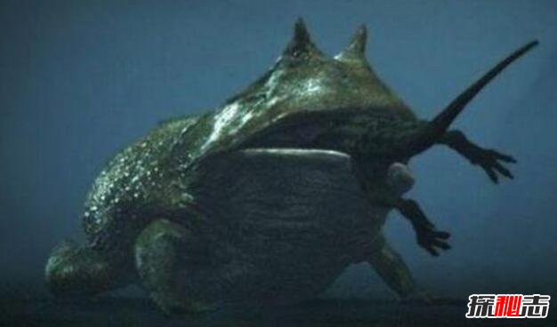 地球史上最大的蛙类，魔鬼蛙体长1米(能吞食同体型恐龙)