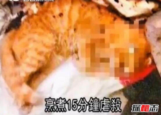 微波炉虐猫事件视频，嫌吵将猫放进微波炉15分钟活活烧死