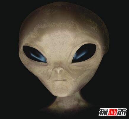 1973年帕斯卡古拉事件，外星人绑架人类自称保护地球