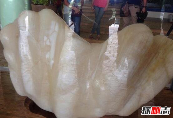世界上最大的珍珠，长相奇丑被雪藏十年才现身(价值6亿)
