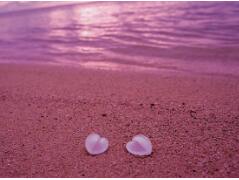 世界上最性感海滩，粉色沙滩美的一塌糊涂(少女心炸裂)