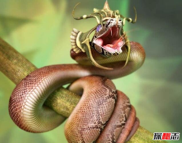 绿茸线蛇的寿命有多长，寿命20万年已活1687岁(小说杜撰)