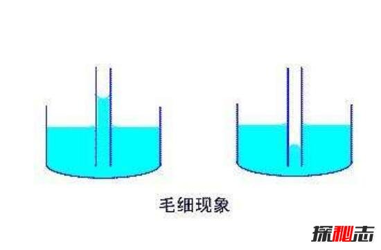 揭秘立筷子的科学解释，实则物理中的一种毛细现象