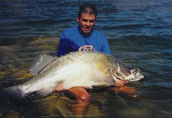 淡水巨怪尼罗河鲈鱼，无所不吃灭绝一方(长2米重400斤)