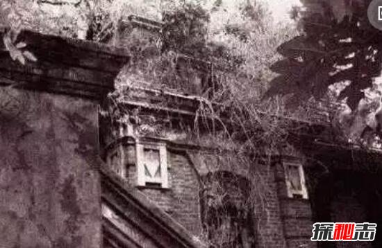 1956年上海林家宅37号神秘事件之谜，被无脑人灭门/真相