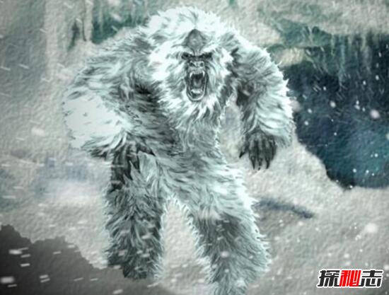 喜马拉雅山雪人遗骸曝光，被证实雪人就是史前未灭绝的熊