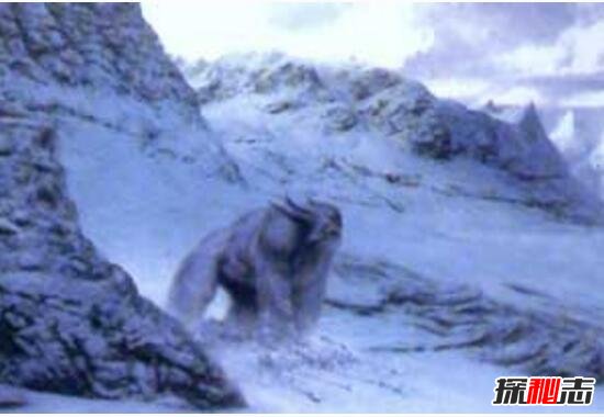 喜马拉雅山雪人遗骸曝光，被证实雪人就是史前未灭绝的熊