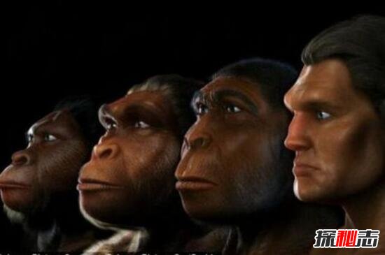 人类几千年后或产生新人种，身高2米的棕色巨人/基因突变