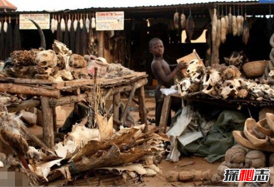实拍非洲巫术祭品市场，贩卖人体器官辟邪(满城动物腐尸)