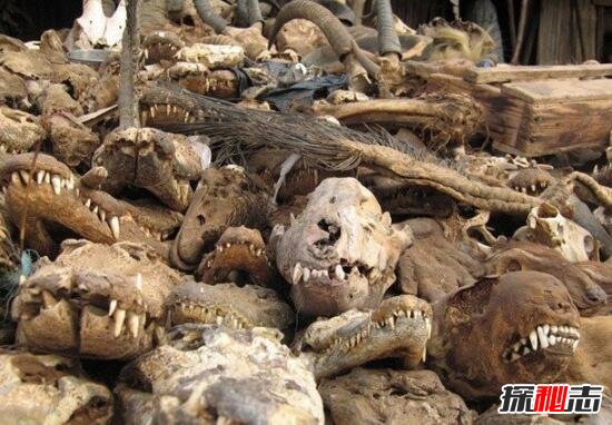 实拍非洲巫术祭品市场，贩卖人体器官辟邪(满城动物腐尸)