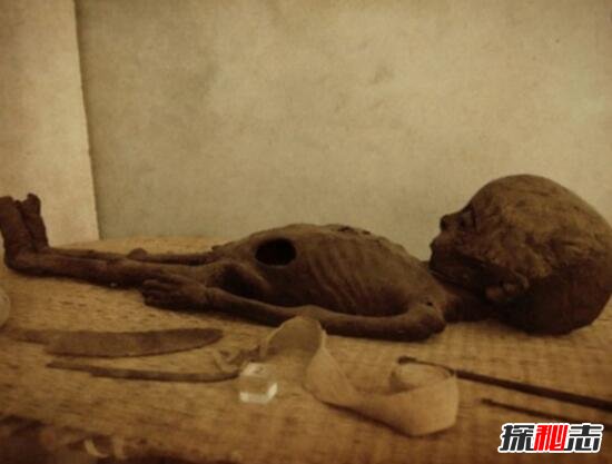 秘鲁神秘干尸，外星人的遗骸/外星人存在的实力证据(图片)