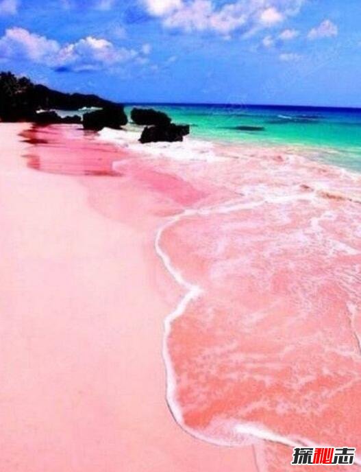 世界上最美丽的粉色沙滩，美得如梦如幻让人少女心爆炸