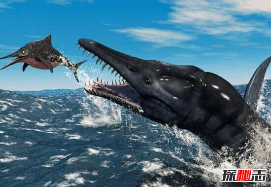 世界上最大海生爬行动物克柔龙，灭绝千年竟死而复生