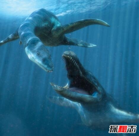 世界上最大海生爬行动物克柔龙，灭绝千年竟死而复生