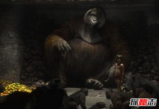 世界上最大的猿，步氏巨猿高3米重达1100斤(素食主义)