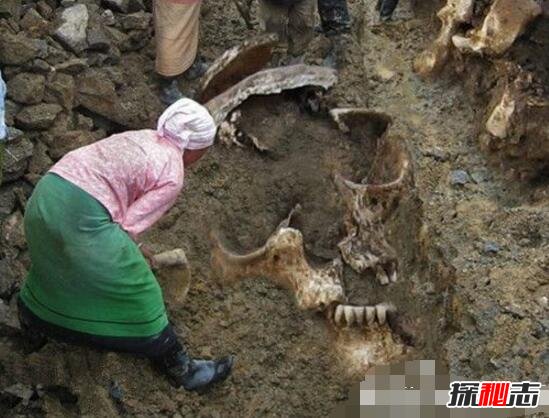 考古界不敢公开的秘密，考古发现5米巨人遗骸吓坏世人