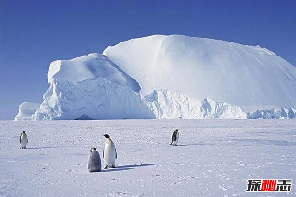 南极冰川最厚的地方厚度超4000米（12个埃菲尔铁塔的高度）
