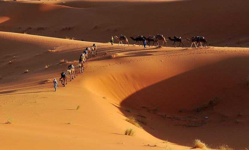 世界上最大的沙漠：撒哈拉沙漠,面积比美国大(形成于250万年前)