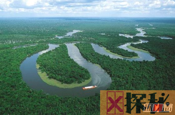 世界上最大的盆地：刚果盆地,地球最大基因库之一