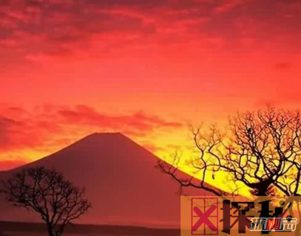 富士山下为什么恐怖?自杀死亡人数成百上千