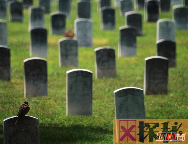超级恐怖吓人!世界上最恐怖的十座墓地,公墓餐厅与死者共进晚餐