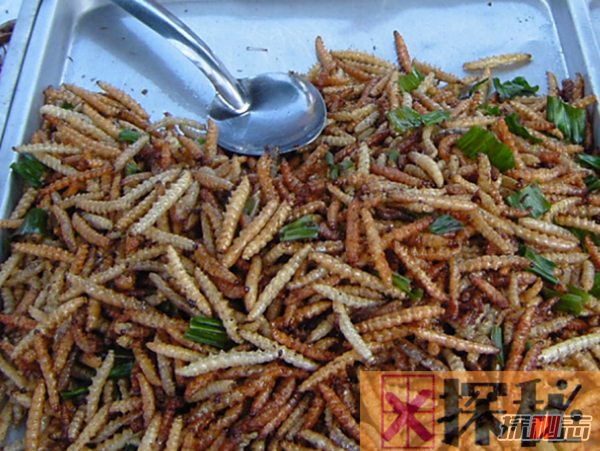 吃过吗?十大最火最奇怪的油炸食品,油炸竹虫在泰国极受欢迎