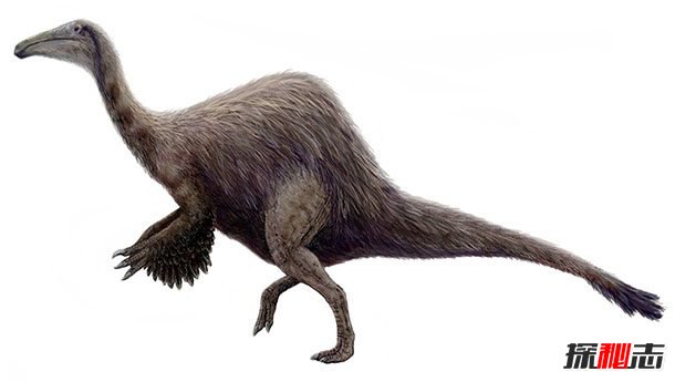 史前动物现在还存在?史前最凶猛的十大动物