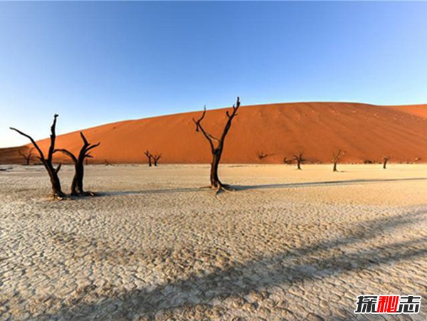 世界十大沙漠盘点：撒哈拉仅第3，第1第2知道的人少