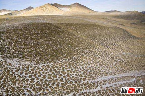 世界上最冷的沙漠：南极洲沙漠98%被冰雪覆盖