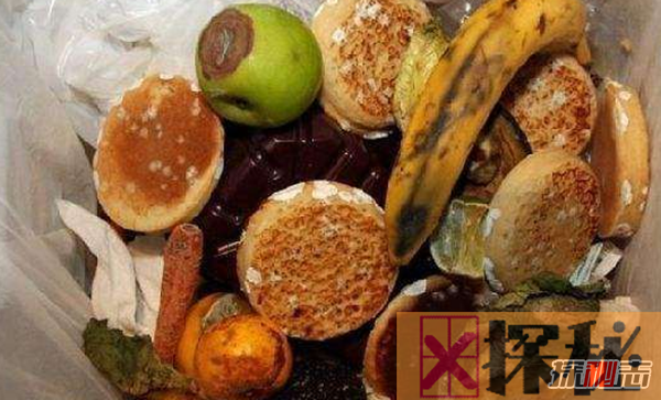 最浪费食物的十大国家,丹麦近70万吨食物被浪费