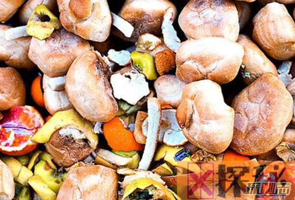最浪费食物的十大国家,丹麦近70万吨食物被浪费