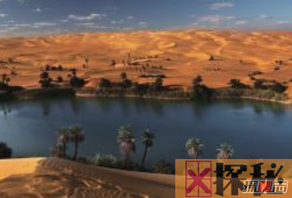 关于撒哈拉沙漠的10大故事,复活植物无水存活100多年