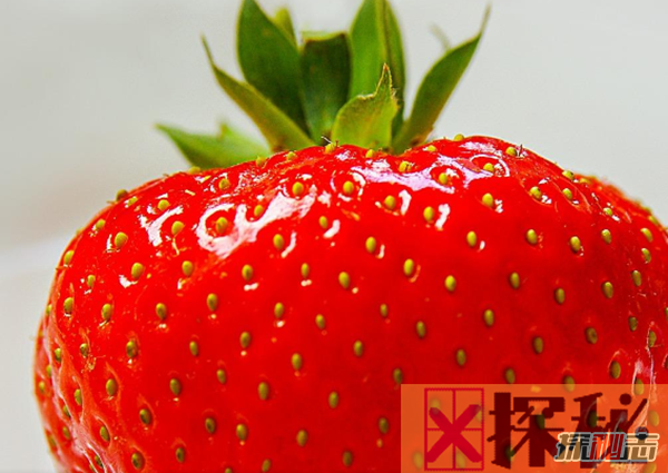 吃草莓有哪些好处?草莓的十大作用与功效