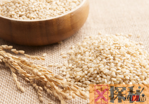 糙米是什么米?糙米的十大功效与作用
