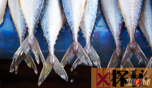 世界上十大吃鱼最多的国家 日本仅排第四,第一出乎意料
