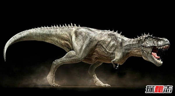 史前最危险而最大的恐龙十种 棘龙同时统治大海陆地