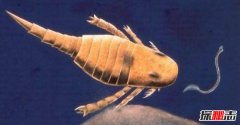 奥陶纪十大恐怖生物  其中几种依旧生活在海洋深处