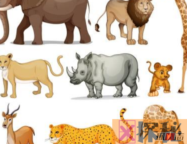 世界上人气最高的十种动物 你能猜中几种??(附图)