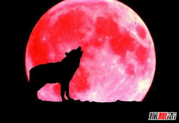 2019超级血狼月奇观 超级血狼月是怎么形成的？