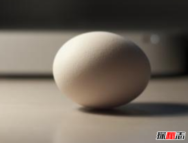 世界生产鸡蛋最多的10个国家 日本第四,第一实至名归