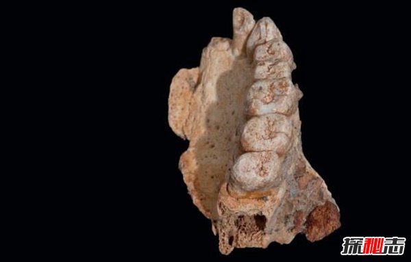 2018最新世界考古十大重大发现 一万多年前的面包见过吗