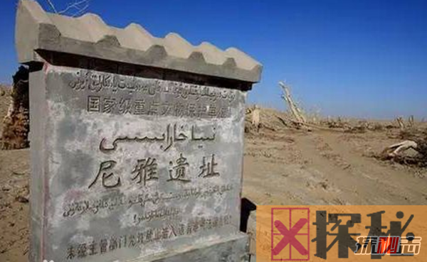 震惊世界!新疆大沙漠考古十大发现(附考古意义)